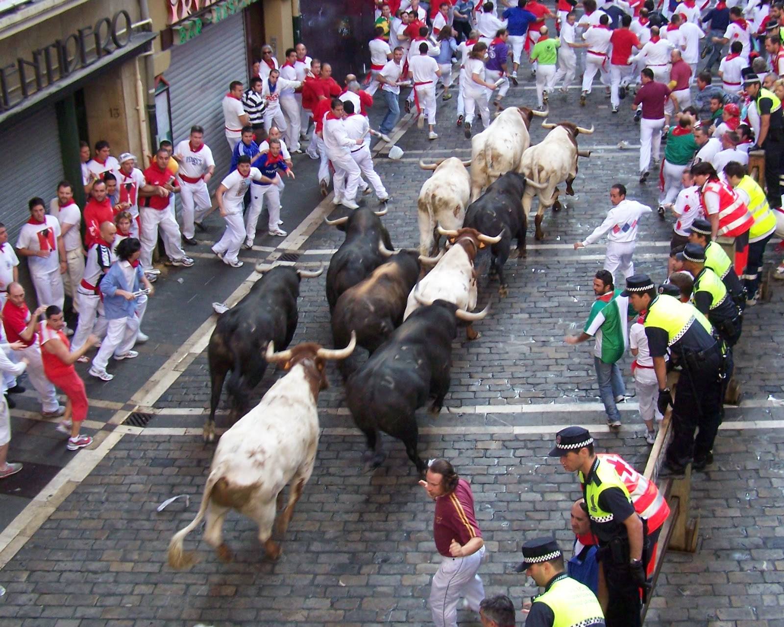 Pamplona Bulls 