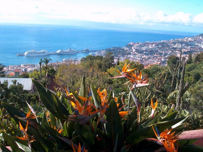 Madeira Gardens Tour