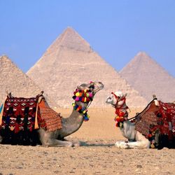 ESPECIAL SINGLES GRAN TOUR A EGIPTO