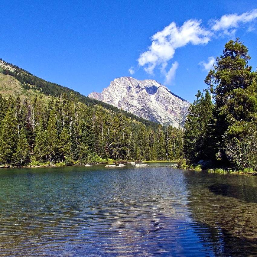 Costa Oeste Grandes Parques con extensión Utah y Yellowstone