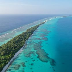 Maldivas, Isla Local - Dhigurah (Grupo)