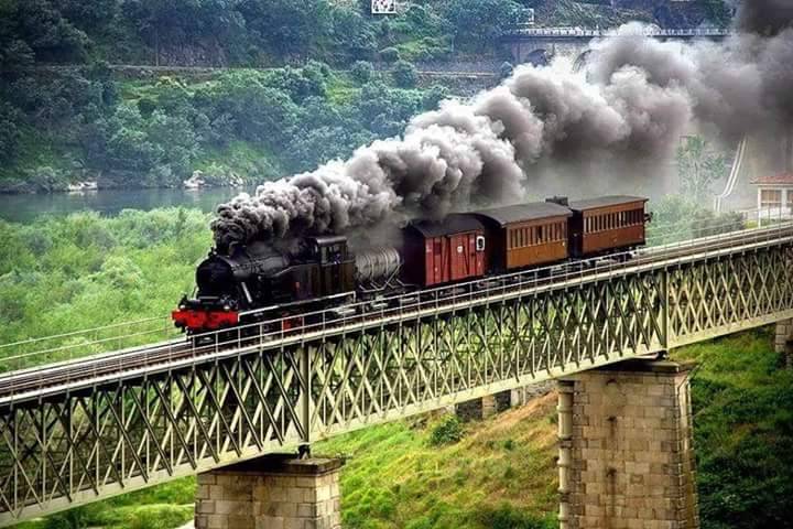 Tren Histórico del Río Duero 