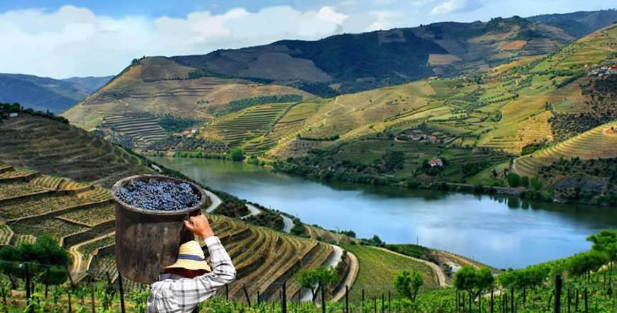  Douro