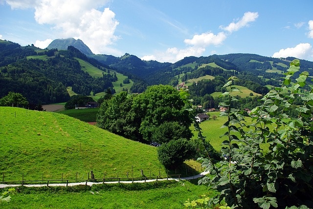 viaje organizado en verano a suiza